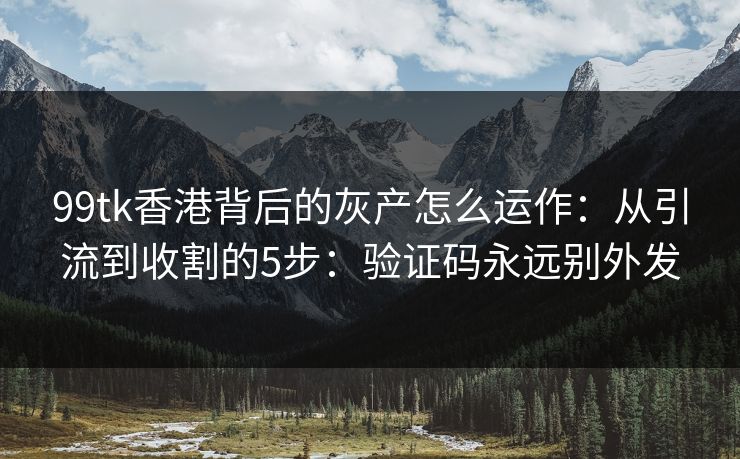 99tk香港背后的灰产怎么运作：从引流到收割的5步：验证码永远别外发