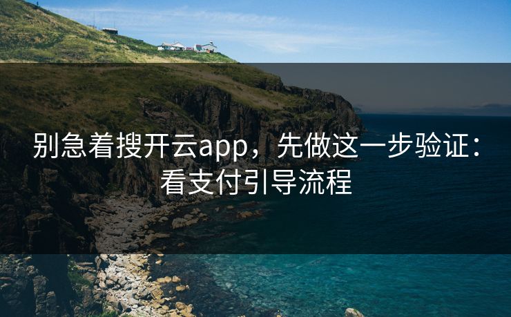别急着搜开云app，先做这一步验证：看支付引导流程